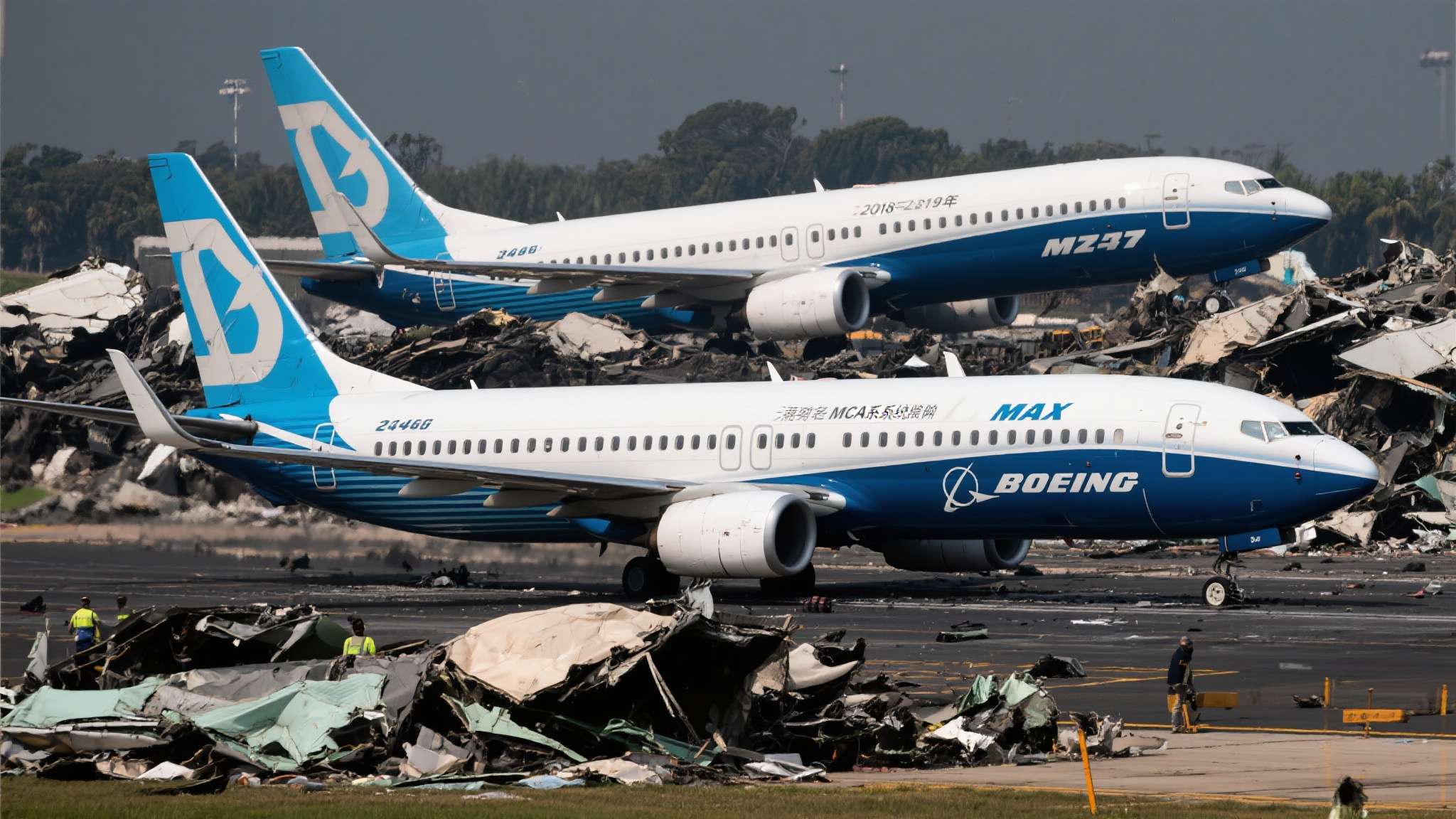 美国波音737鸟撞进飞机 美国波音737鸟撞进飞机
